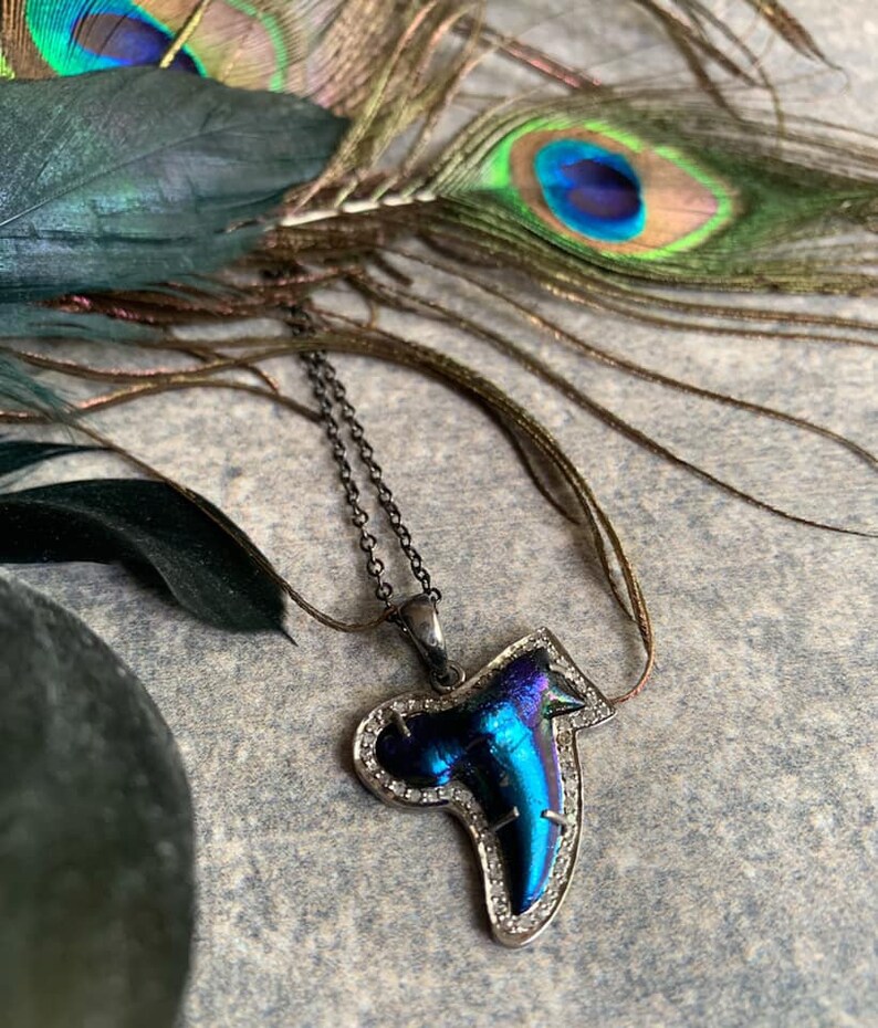 OOAK Necklace Diamond Necklace Unique Gifts for Her Shark Tooth Pendant Genuine Pave Diamond Shark Tooth Necklace Shark Tooth Necklace