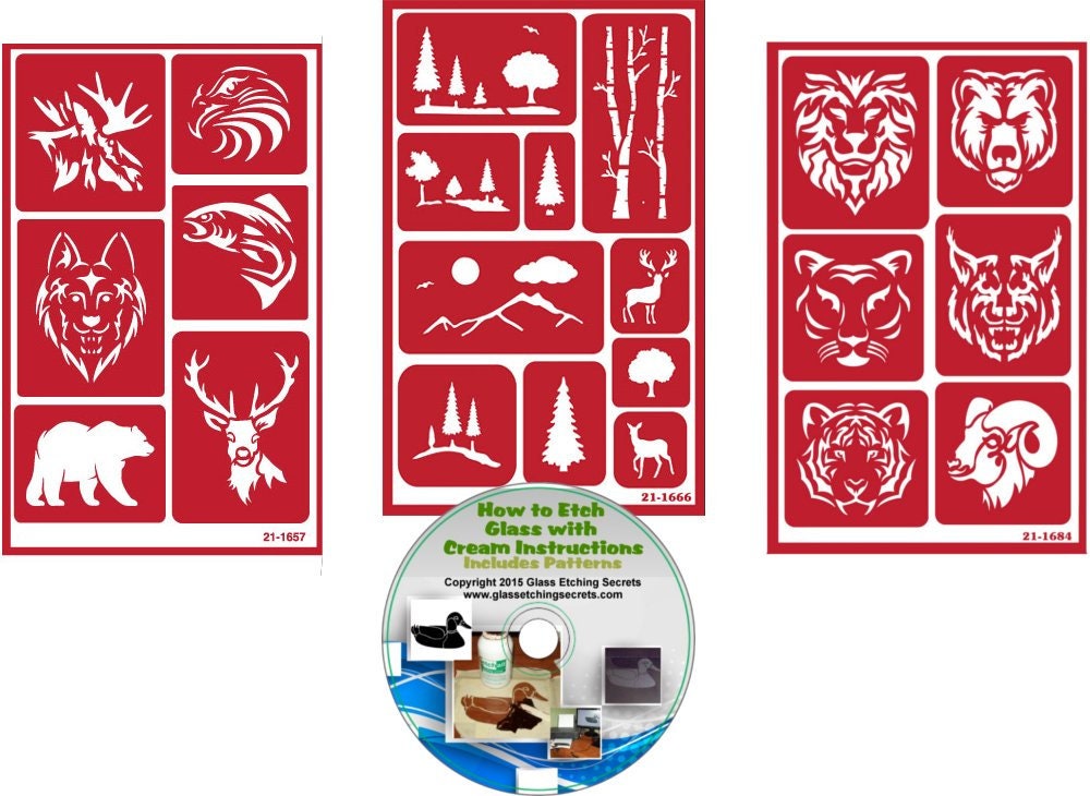Glass Etching Kit Deluxe: Acid Etching Cream, Stencils, Brush + Free How to  Etch Glass & Patterns CD