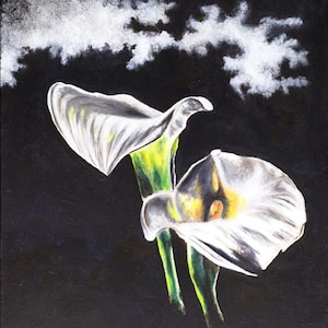 Original Acrylic Fine Art Painting on Canvas - Titled:" White Lilies On Black"  by Christoffel - 16 x 20 - Gallery Wrapped Painting.