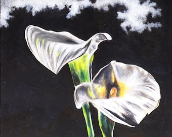 Original Acrylic Fine Art Painting on Canvas - Titled:" White Lilies On Black"  by Christoffel - 16 x 20 - Gallery Wrapped Painting.