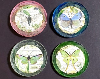 Dragonfly/Butterfly and Moth Magnets