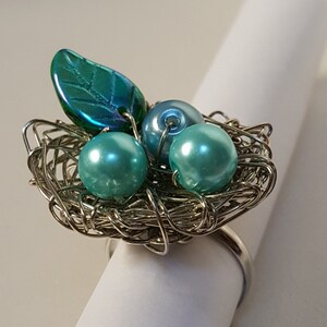 Voorjaar vogels Nest Ring