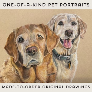 Original Hand-Drawn Pet Portrait
