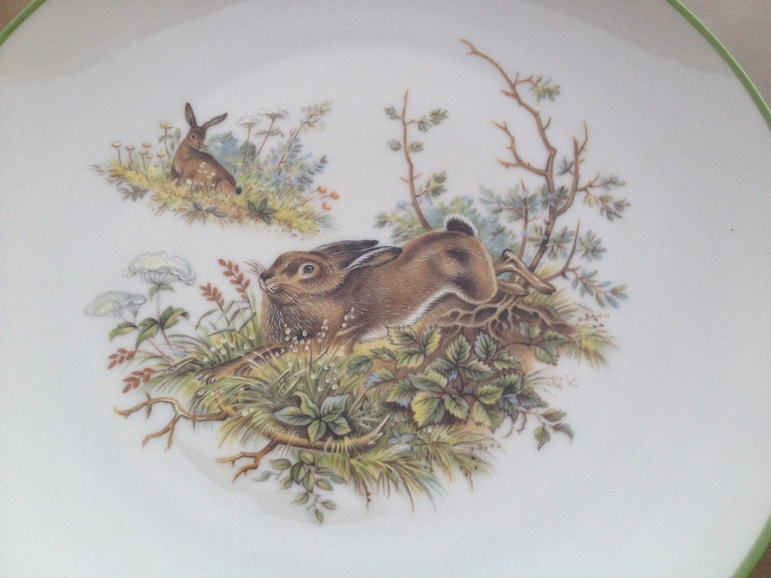 Bunny Plate Rabbit Plate Woodland Plate Bareuther Etsy