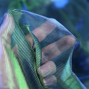 Könnte beinhalten: Nahaufnahme eines blau-grünen, irisierenden Stoffes mit einem gestreiften Muster. Der Stoff ist durchsichtig und hat einen metallischen Glanz.