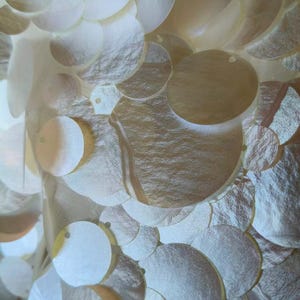 Può includere: Una superficie tessile densamente ricoperta da paillettes circolari sovrapposte di colore bianco e bianco sporco. Le paillettes presentano una finitura leggermente iridescente e testurizzata, fissate su una base di tessuto trasparente, creando un aspetto stratificato.