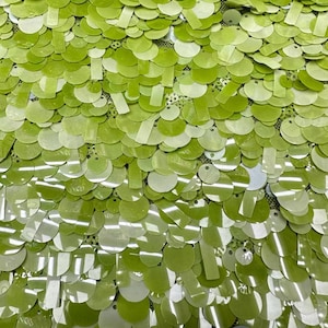 Puede incluir: Paillettes verdes y blancas iridiscentes de varios tamaños, dispuestas en un patrón sobre una tela de malla. Las lentejuelas son brillantes y reflectantes.