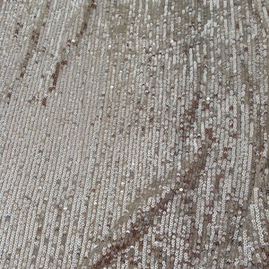 May include: A close-up of a fabric with a silver sequin pattern. The sequins are arranged in rows and are slightly iridescent.