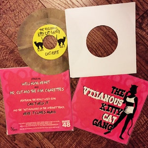 May include: A pink and white record sleeve with the text "The Villainous Kitty Cat Gang" and a black silhouette of a woman wearing a cat costume. The record sleeve is on a wooden surface.