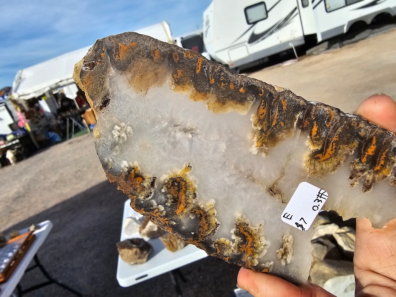 NV Druzy Plume Agate Slabs UNPOLISHED image 4