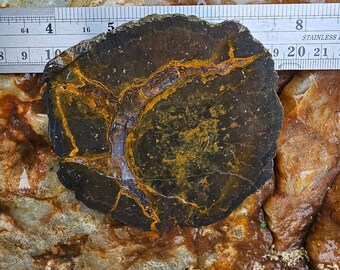 Bed 79 Thunderegg Slab UNPOLISHED