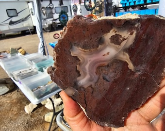 May include: A cross-section of a rock with a dark reddish-brown exterior and a white and light brown interior pattern. The rock is held in a hand, with a table of rocks and minerals in the background.