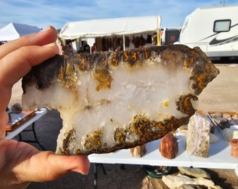 May include: A hand holds a polished agate slice, showcasing a white center with brown, yellow, and orange banding. The stone's edge has a rough, natural texture. The background shows a market setting.