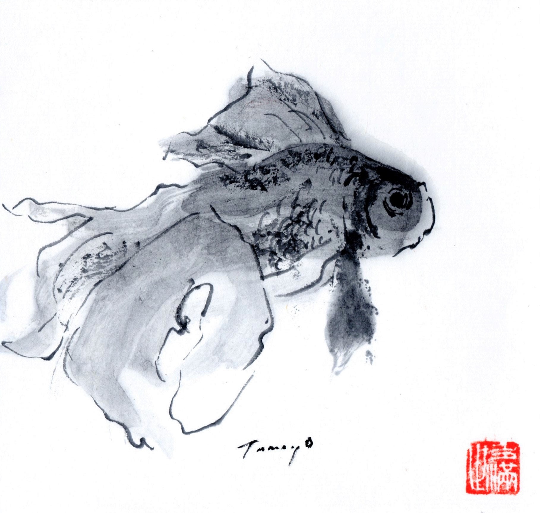 Original Pen & Ink fish drawing sketch of a goldfish on ivory