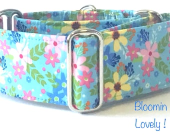 Floral Martingale Collar, Greyhound Collar, Whippet Collar, Iggy Collar, Lurcher Collar, Large Breed Collar