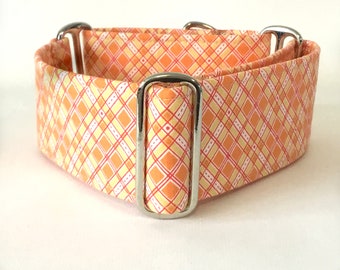 Orange Detail Martingale Collar, Greyhound Collar, Galgo Collar, Iggy Collar, Large Breed Collar, Saluki Collar, Lurcher Collar, Sighthound