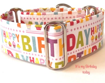 Happy Birthday Martingale Collar, Whippet Collar, Greyhound Collar, Lurcher Collar, Saluki Collar, Sighthound Collar.Longdog Collar