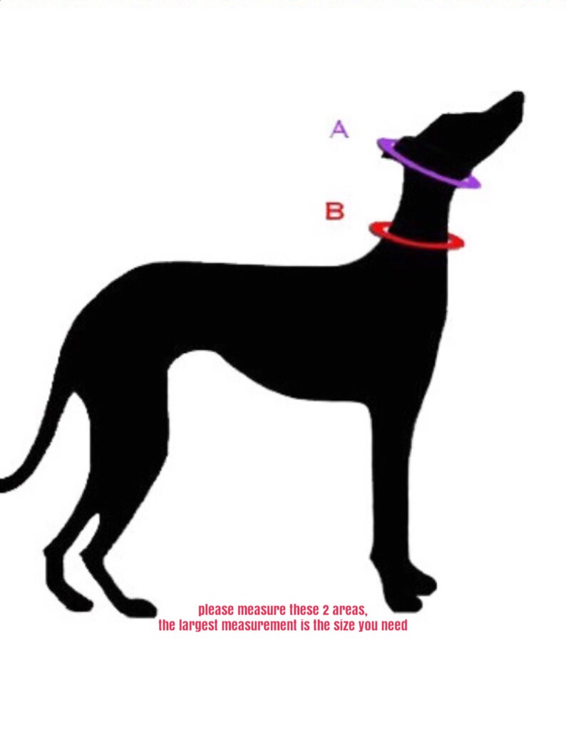 May include: Black silhouette of a dog with two areas marked for measurement. The text says "please measure these 2 areas, the largest measurement is the size you need".