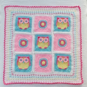 May include: A crocheted baby blanket with a pink, white, and blue color scheme. The blanket features a repeating pattern of owls and circles.