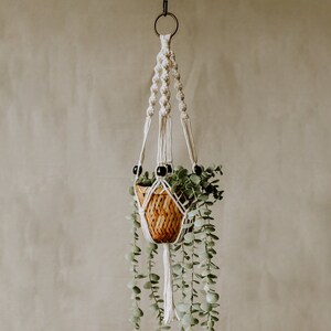 May include: A white macrame plant hanger with black beads hangs from a ceiling hook. A small potted plant with green leaves hangs in the macrame hanger.