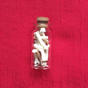 Ten English Red Fox toe bones in a bottle.