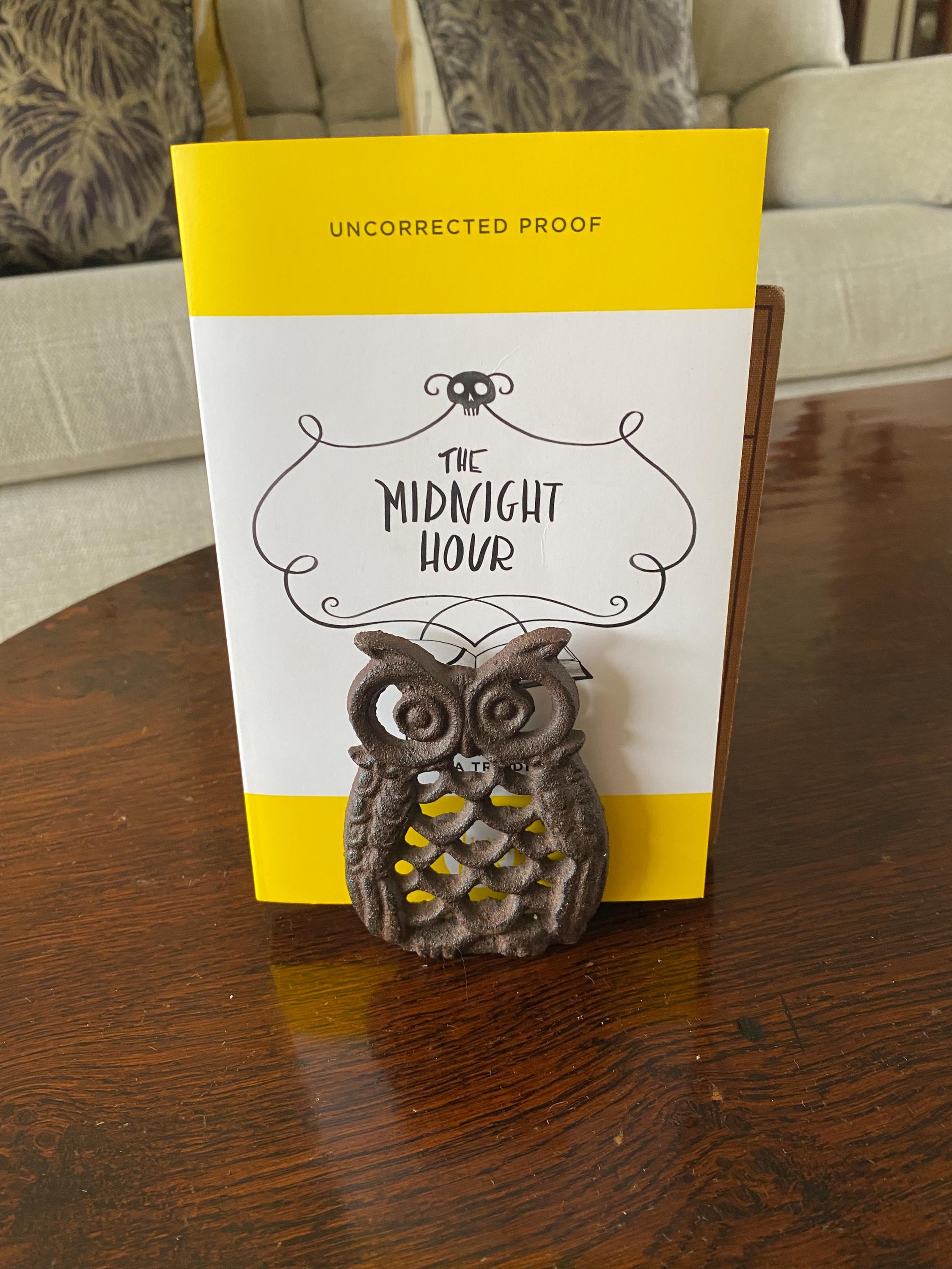 Pair of Owl Book Ends Iron