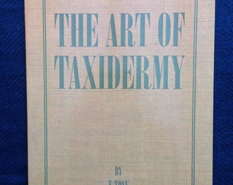 Taxidermy Book | Etsy