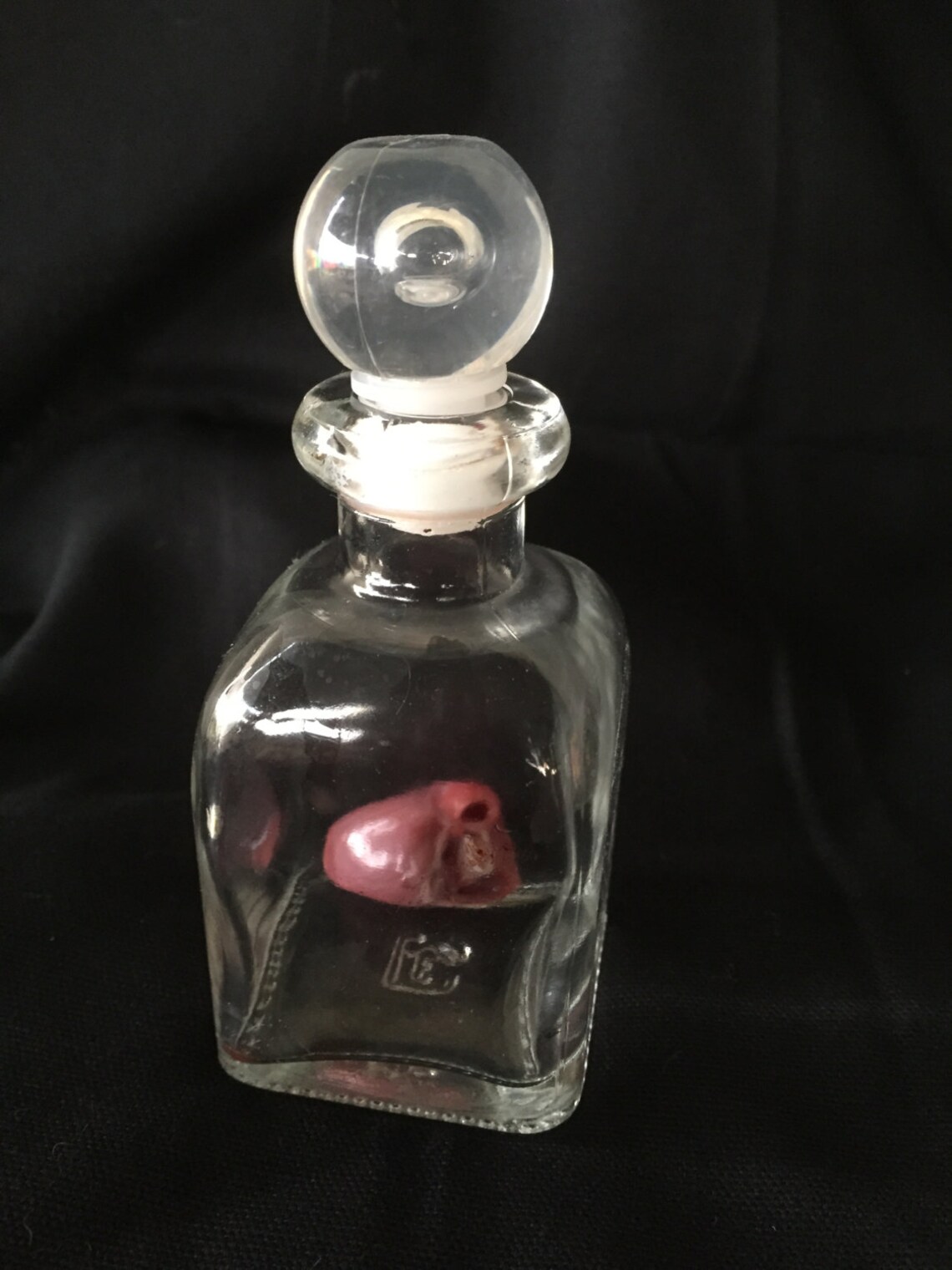 A Wet Specimen Carrion Crow Heart Preserved in Formalin. Etsy UK