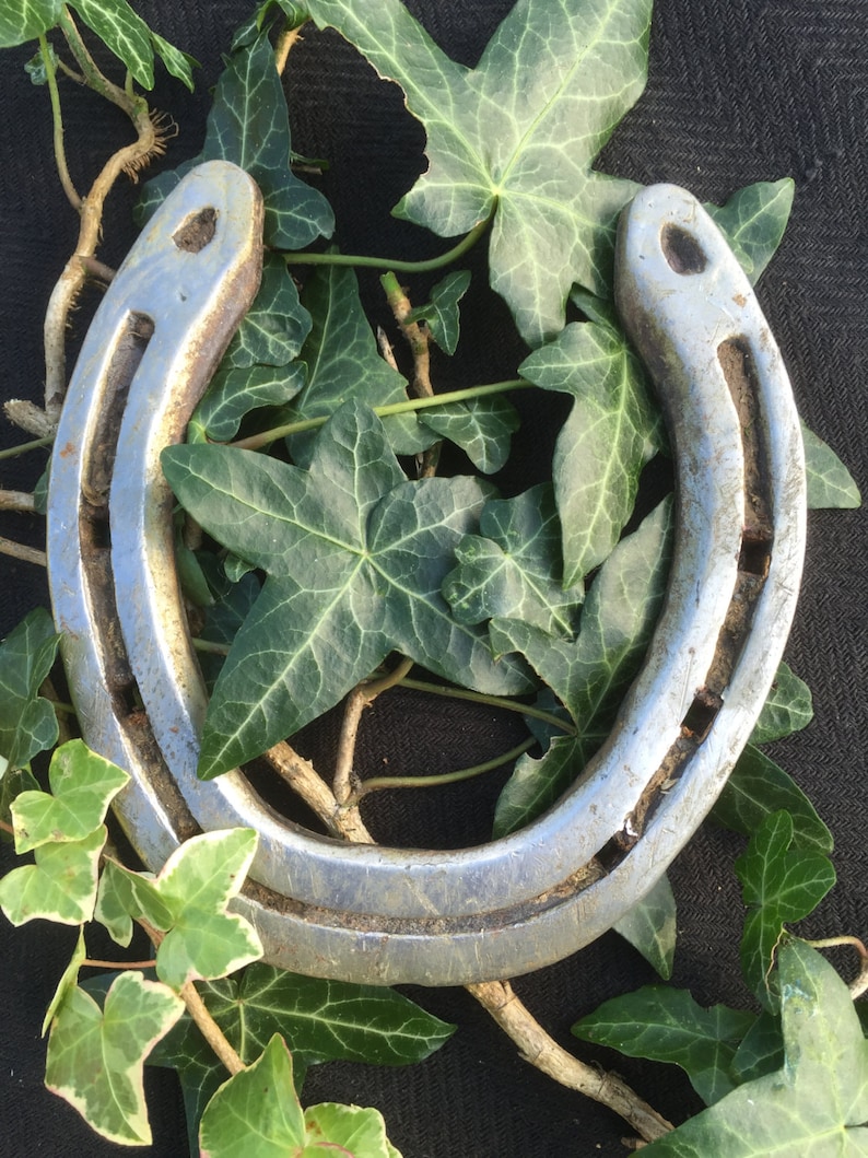 Lucky Horse shoe for Fortune or decoration. image 2