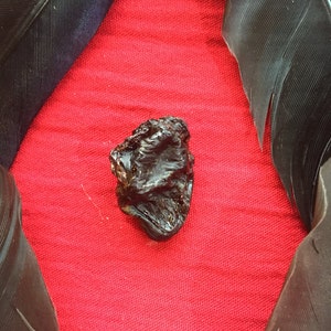 A Preserved Crow Heart and Feathers image 2