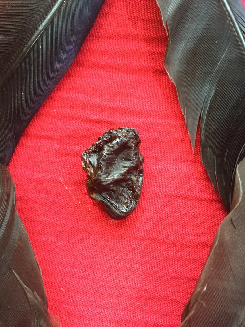 A Preserved Crow Heart and Feathers image 2