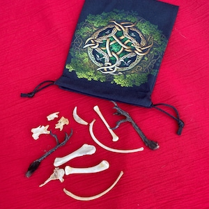 animal bones crow witchcraft magick occult pagan pouch feathers bone throwing