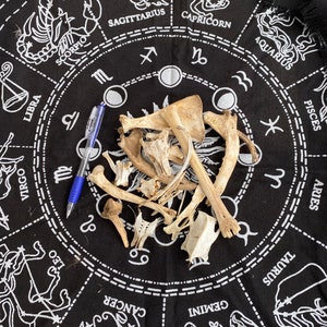 May include: A black fabric with a white zodiac wheel printed on it. A collection of animal bones are scattered on the fabric. A blue pen is lying on the fabric.