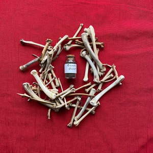 Polvo de Hueso Hoodoo Hechizos de Brujería Protección Mágica