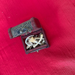 May include: A small wooden box with a hinged lid and a brass latch is open, revealing a collection of white animal bones inside.