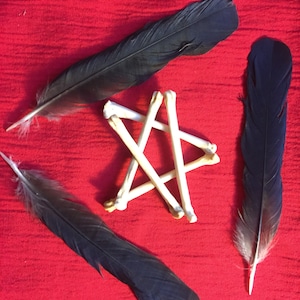 Può includere: Tre piume nere disposte a forma di stella su uno sfondo di tessuto rosso. Un set di ossa bianche sono disposte al centro delle piume, formando una stella a cinque punte.