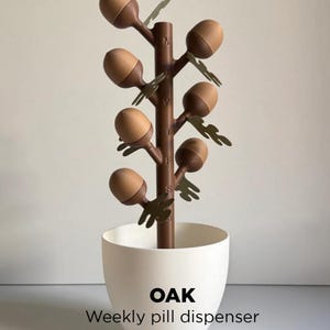 Oak Acorn Flower Pill Organizer | 3D Printed Weekly Medication Box | Magnetic Bloom Flowers