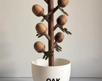 Oak Acorn Flower Pill Organizer | 3D Printed Weekly Medication Box | Magnetic Bloom Flowers