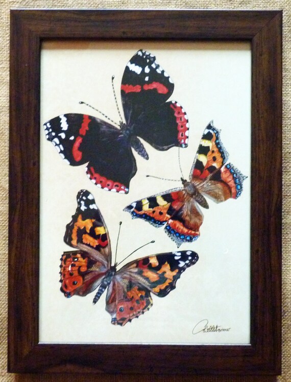 Butterfly Wall Art Butterfly Decor Butterfly Painting Etsy