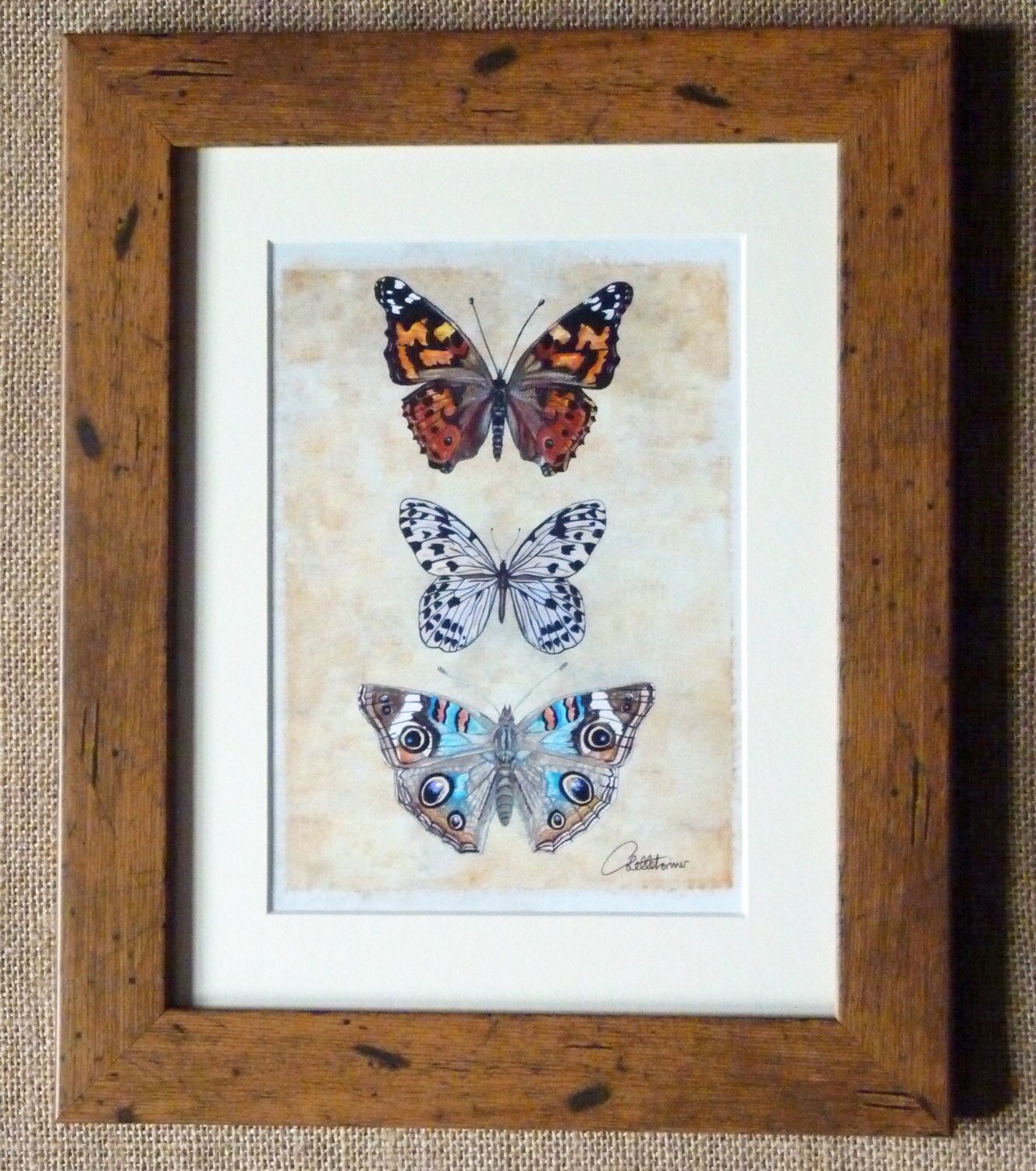 Butterfly Picture Butterfly Art Print Butterfly Trio Etsy