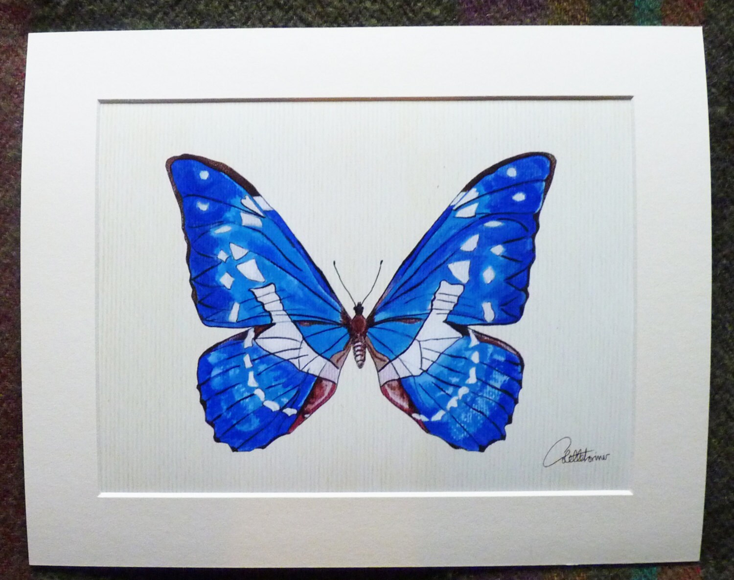 Blue Butterfly Wall Art Amazon Blue Picture Blue Butterfly Etsy