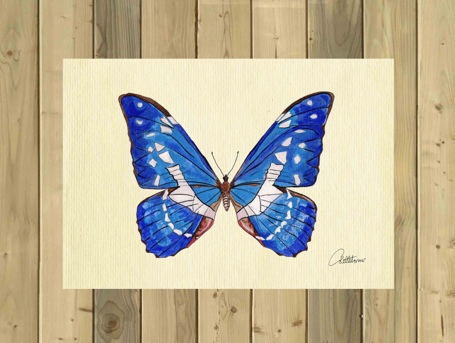 Blue Butterfly Wall Art Amazon Blue Picture Blue Butterfly Etsy