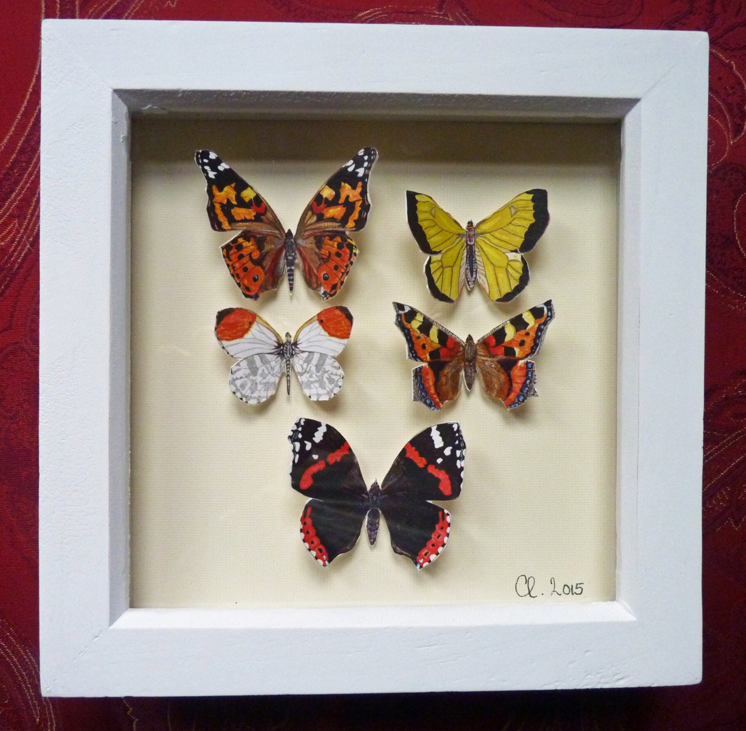 Butterfly Shadow Box Beautiful Butterflies that could almost Etsy