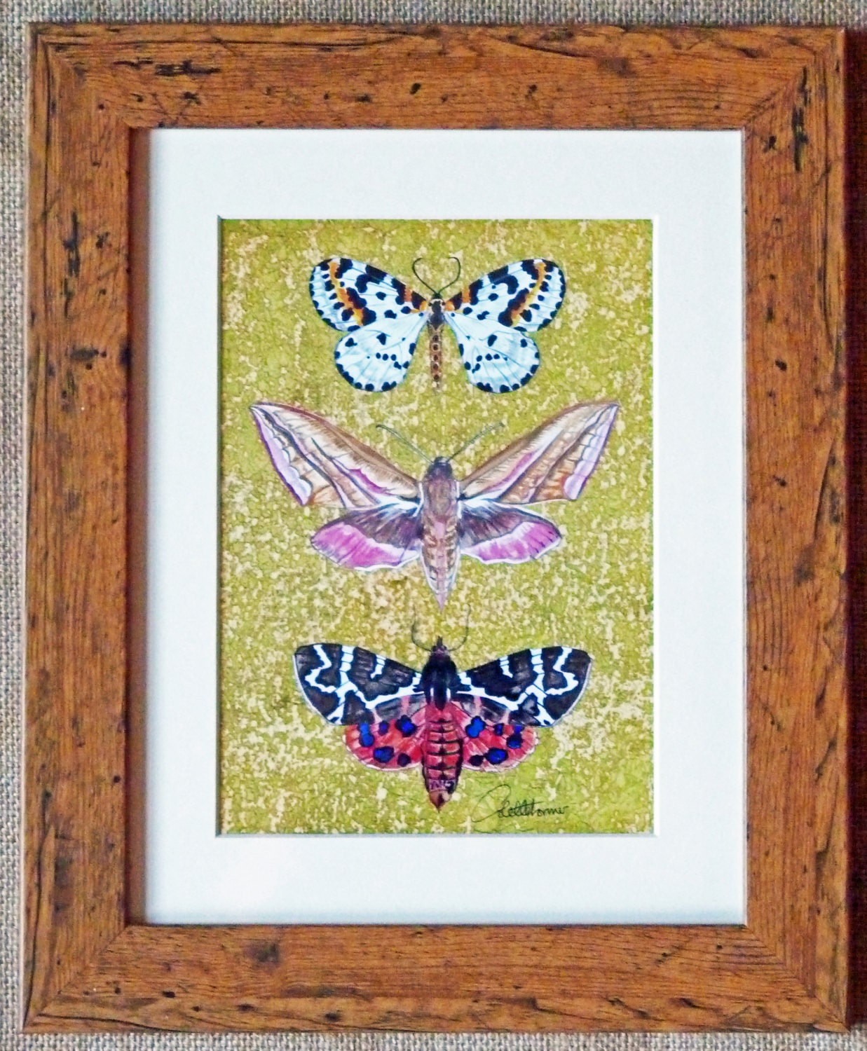 Moth Wall Art Moth Wall Decor Moth Painting Butterfly Art Moth Etsy