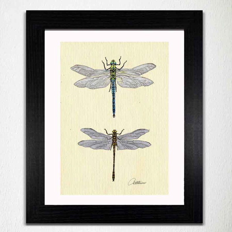 Dragonfly Wall Art Dragonfly Painting Dragonfly Artwork Etsy