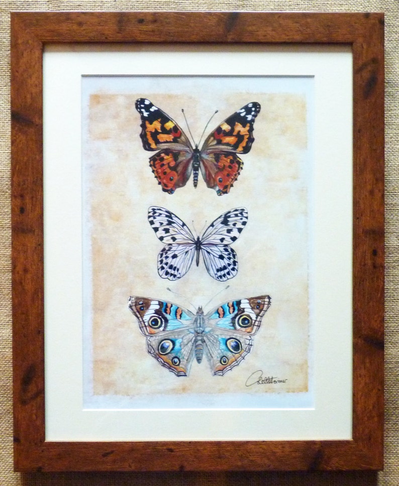 Butterfly Wall Art Butterfly Wall Decor Butterfly Artwork Etsy