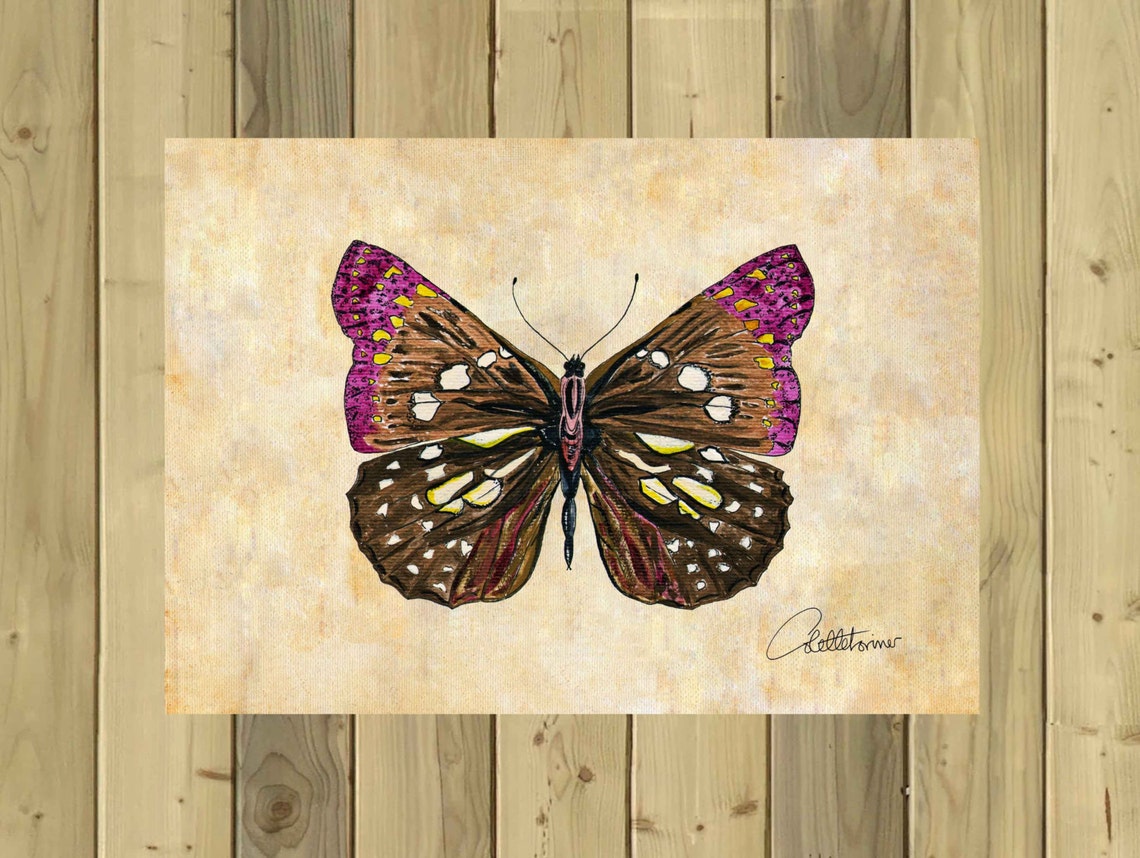 Butterfly Wall Art Butterfly Decor Butterfly Painting | Etsy
