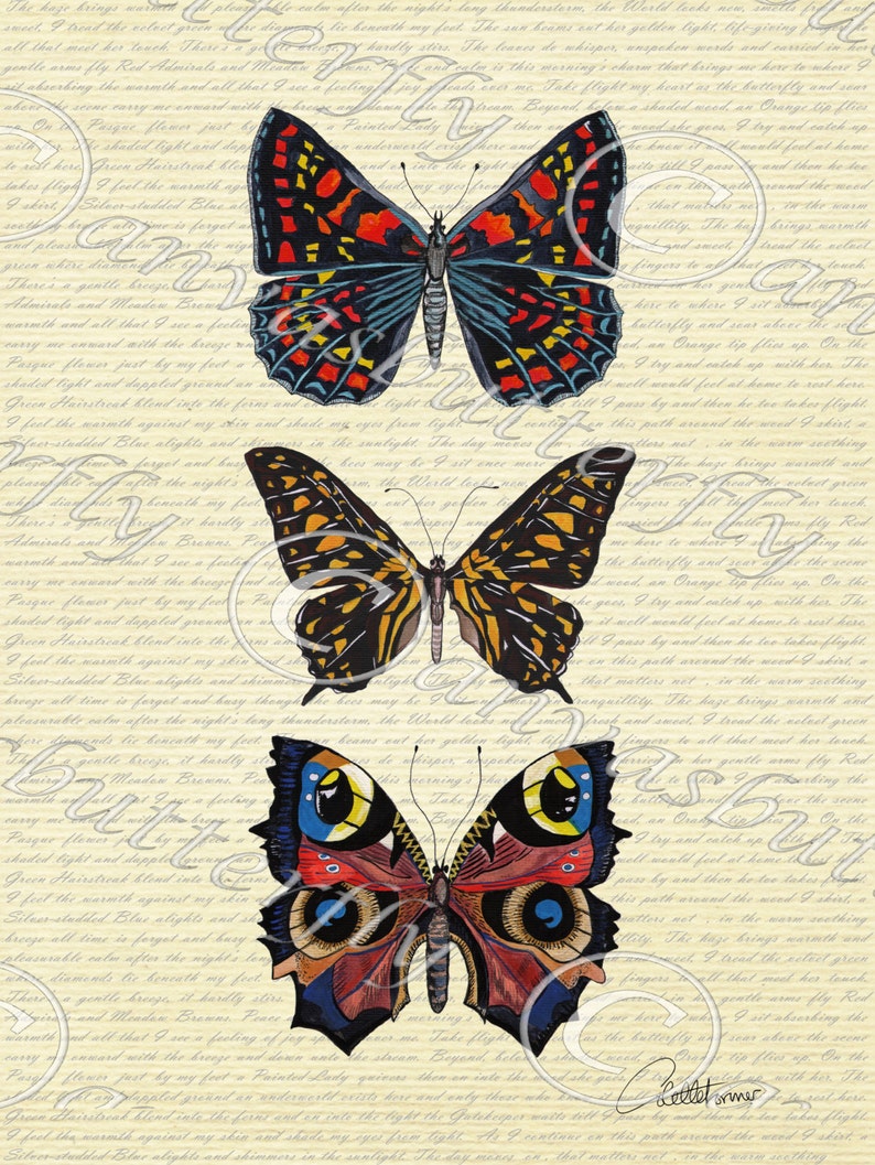 Butterfly Painting Butterfly Wall Art Butterfly Picture | Etsy