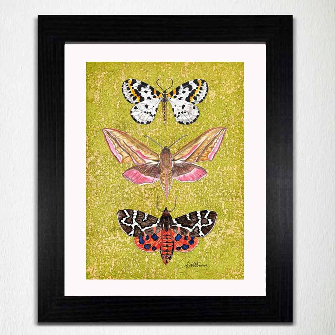 Moth Wall Art Moth Wall Decor Moth Painting Butterfly Art Moth Etsy UK