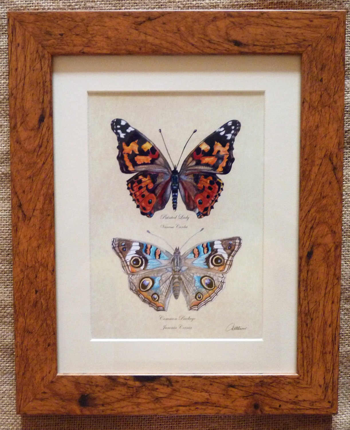 Butterflies Framed Butterfly Painting Butterflies Print Etsy
